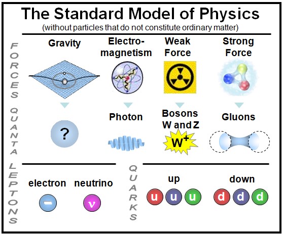 Simplified table of the Standard Model of Physics showing the four fundamental forces, their associated particles (photon, W and Z bosons, gluons), leptons (electron, neutrino), and quarks (up, down)