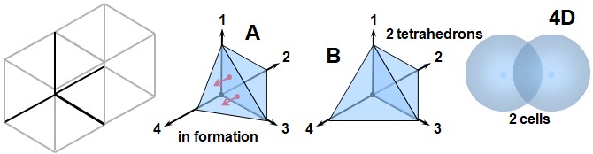 Illustration of 4D structure: stacking of two tetrahedra forming a 4D cell, representation of a 4D cube, a forming cell (A), two merged tetrahedra (B), and two spherical cells sharing a volumetric face