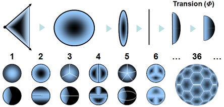 Illustration of different types of transions based on the number of spations transferred simultaneously, from 1 to 36, represented by spherical transition structures.