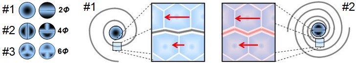 Illustration showing three types of transion vortices (#1 to #3), each transferring one, two, or three spations simultaneously, forming 2F, 4F, and 6F respectively. These vortices correspond to three types of fermions with one, two, or three integration lanes. The zoomed views show the internal spation structure, highlighting the increase in local pressure, mass, and instability as the number of lanes increases.