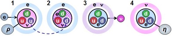 Electron capture by a proton. The electron approaches the proton and crosses a barrier of electron spations. Inside the proton, the structure reconfigures: one u quark turns into a d quark, transforming the proton into a neutron and releasing a neutrino.