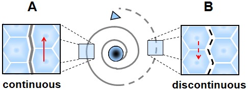 Diagram illustrating that at short distance from the particle (A), the flow of spations toward the vortex core is continuous. At greater distance (B), this flow becomes discontinuous as indicated by the dashed lines.