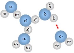 Stylized water molecules showing oxygen and hydrogen atoms bonded by polar bonds, with attraction between opposite poles.