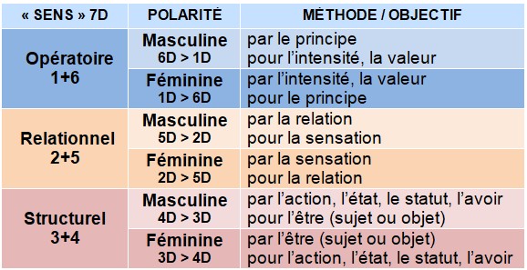 Sens 7D et polarité — Méthode et objectif