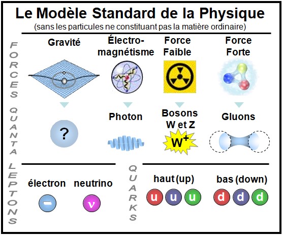 Tableau simplifié du Modèle Standard de la Physique montrant les quatre forces fondamentales, leurs particules associées (photon, bosons W et Z, gluons), les leptons (électron, neutrino) et les quarks (haut, bas)