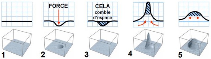 Illustration en cinq étapes de l'inflaréation : 1. état initial, 2. force appliquée déforme l'espace, 3. la substance comble l'espace, 4. concentration dynamique, 5. expansion horizontale. Représente le mécanisme hypothétique de l’inflareation.