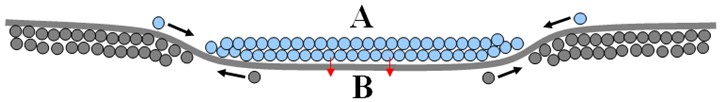 Schéma représentant le passage de spations (en bleu) depuis un domaine cosmique A central vers un domaine plus vaste B. Les flèches indiquent la migration des spations vers l’extérieur. La forme incurvée illustre l’effet de confinement exercé par B sur A.