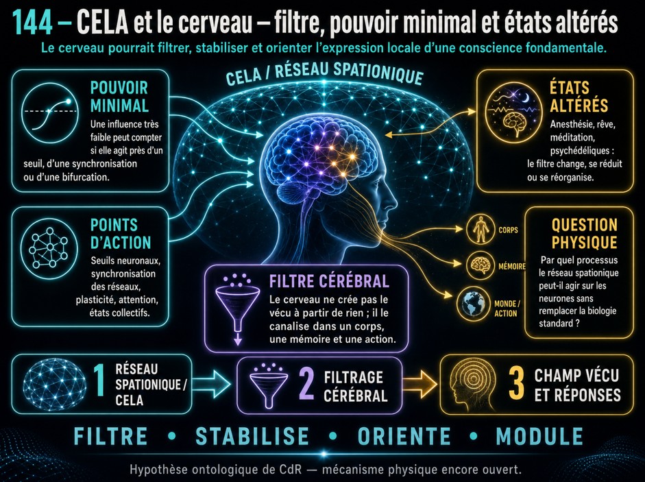 144 - CELA et le cerveau — filtre, pouvoir minimal et états altérés CELA et le cerveau, filtre, pouvoir minimal et états altérés.